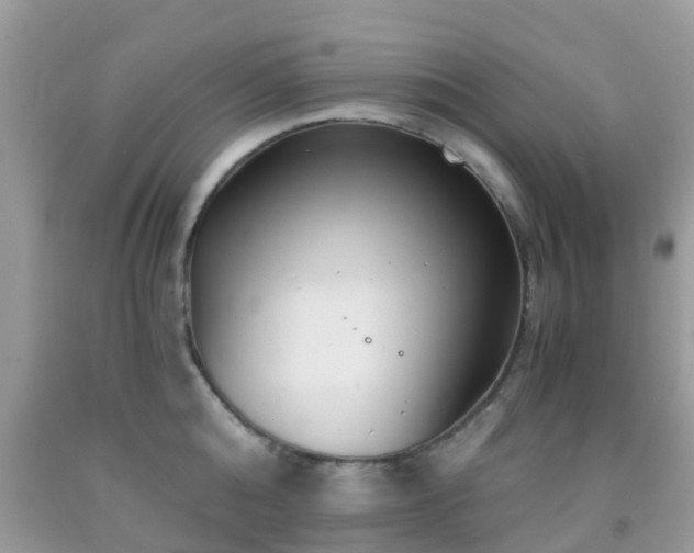 X0000091960808200709061300