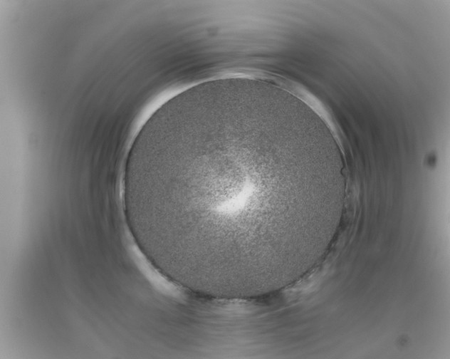 X0000091960811200709061300