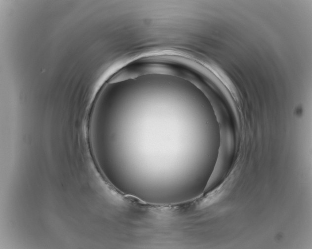 X0000091960813200709061300