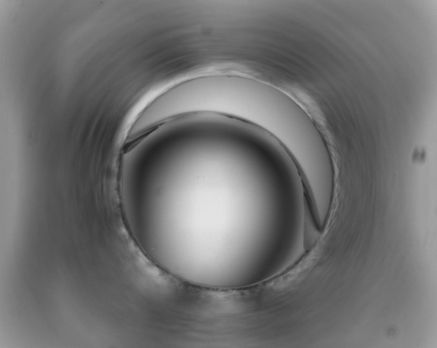 X0000091960816200709061300