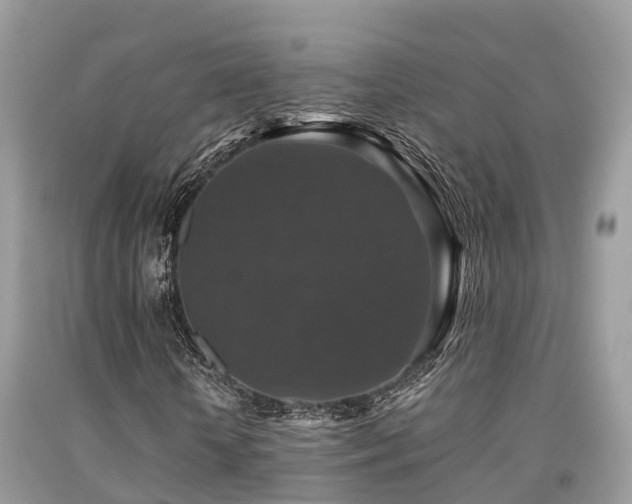 X0000091960818200709061300