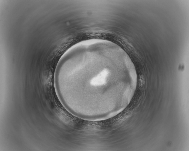 X0000091960820200709061300