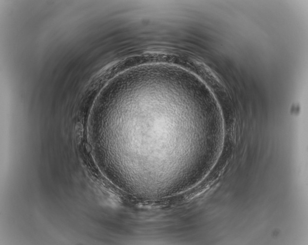 X0000091960821200709061300