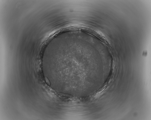 X0000091960822200709061300