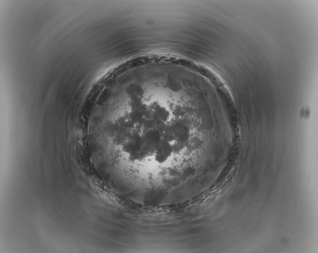 X0000091960823200709061300