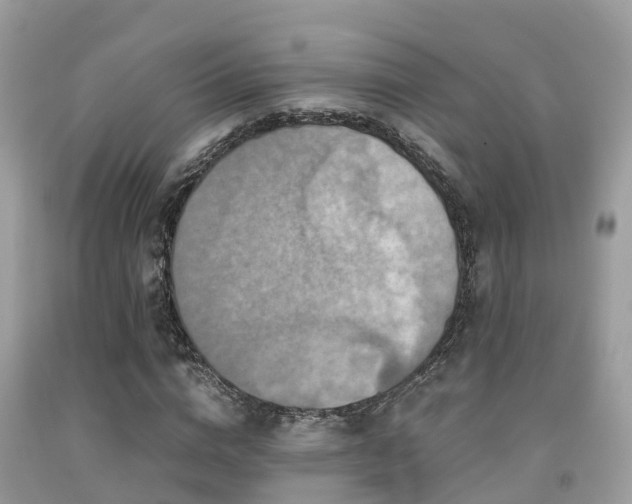 X0000091960824200709061300