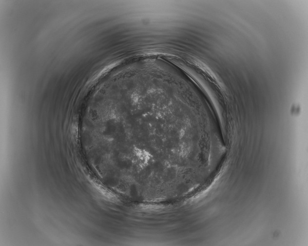 X0000091960825200709061300