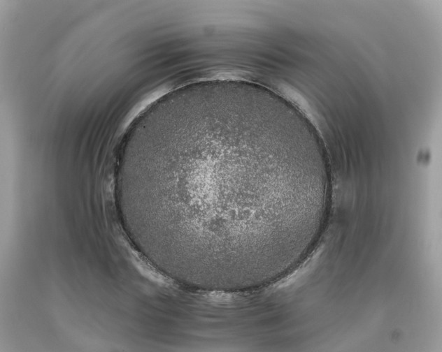 X0000091960827200709061300