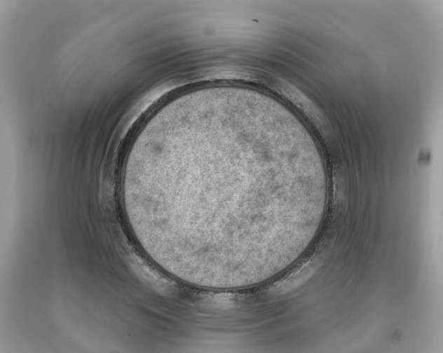 X0000091960828200709061300