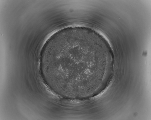 X0000091960829200709061300