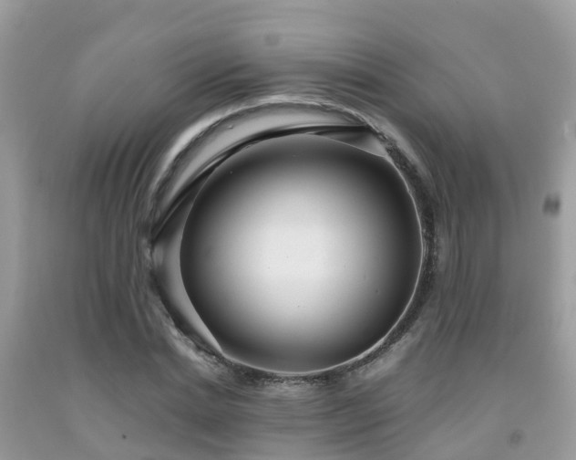 X0000091960830200709061300