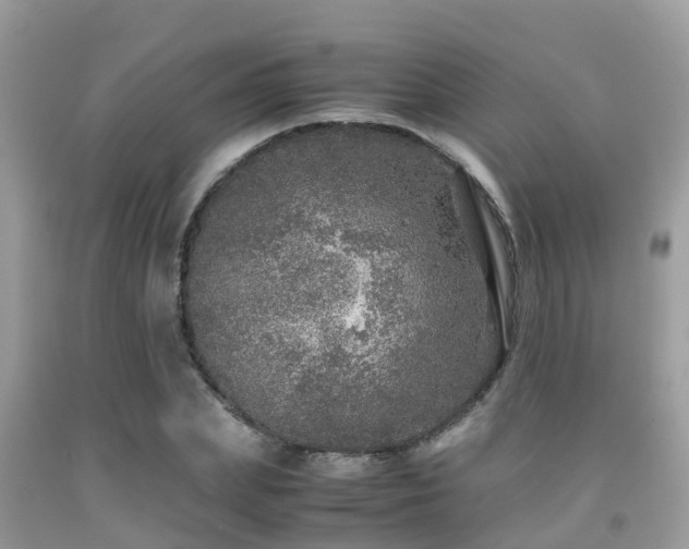 X0000091960831200709061300