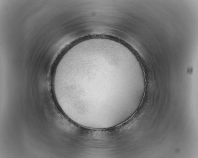 X0000091960832200709061300