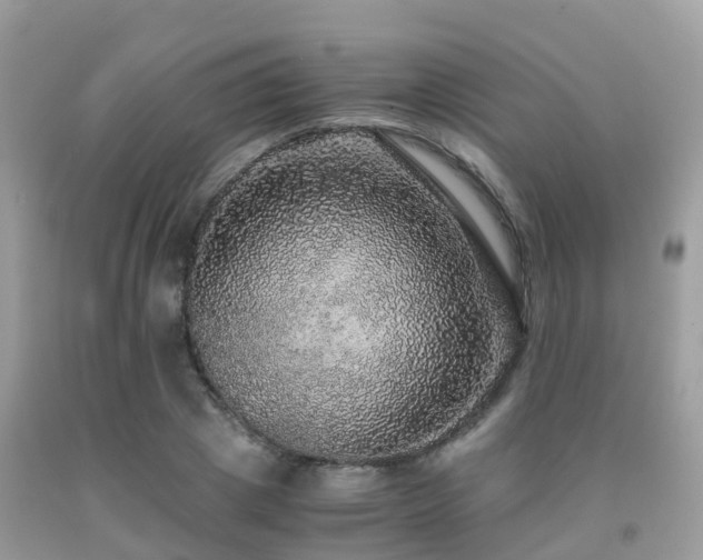 X0000091960833200709061300