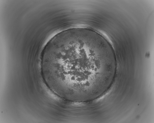 X0000091960835200709061300