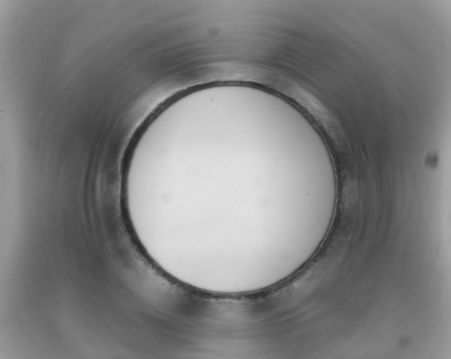 X0000091960836200709061300