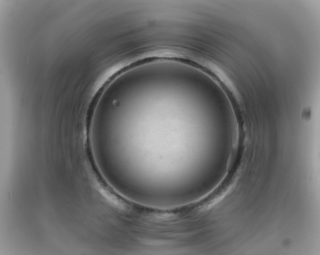 X0000091960837200709061300