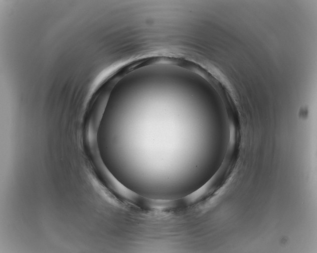 X0000091960838200709061300