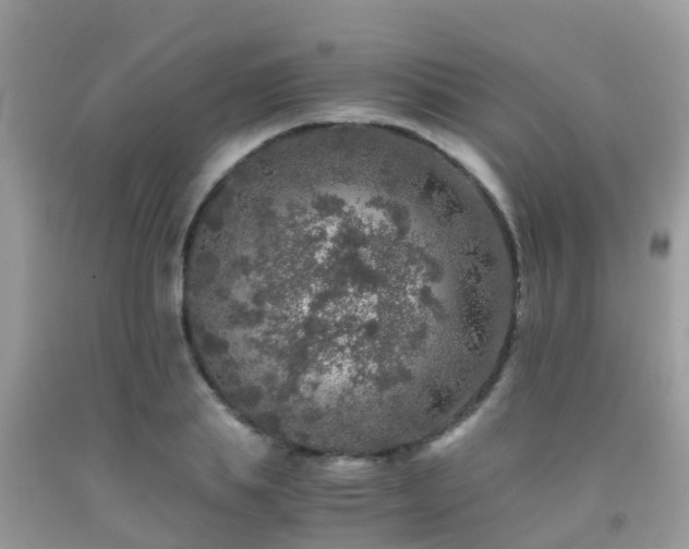 X0000091960839200709061300