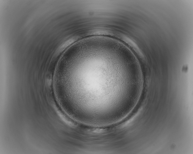 X0000091960841200709061300