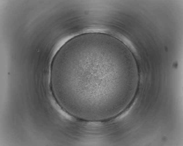 X0000091960844200709061300