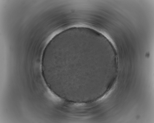 X0000091960845200709061300