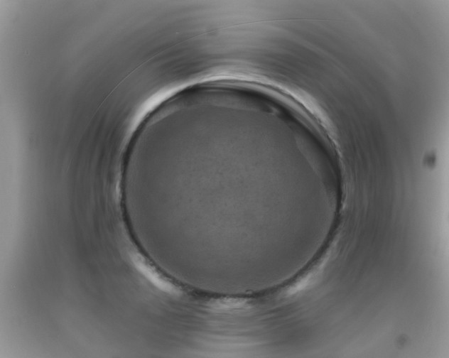 X0000091960846200709061300