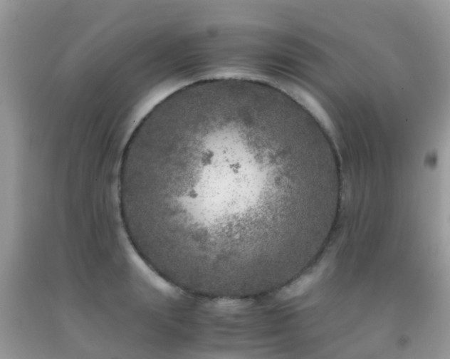 X0000091960847200709061300