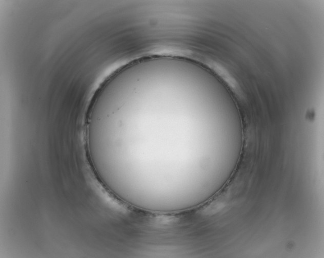 X0000091960848200709061300