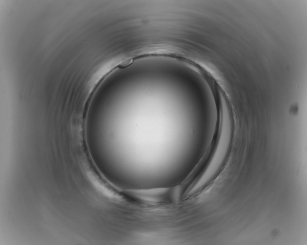 X0000091960850200709061300