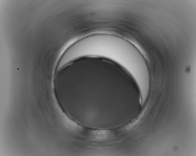 X0000091960853200709061300