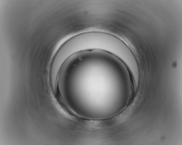 X0000091960854200709061300