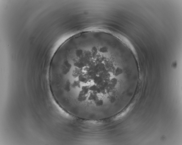 X0000091960855200709061300