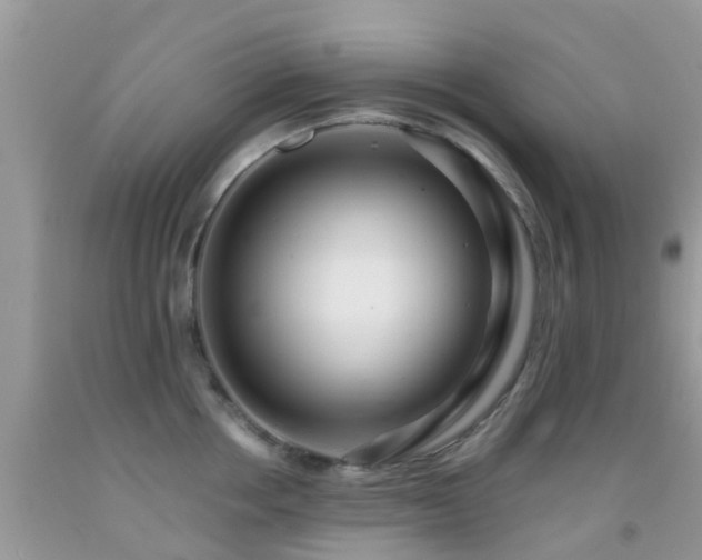 X0000091960858200709061300