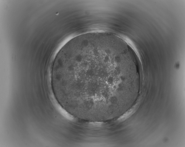 X0000091960859200709061300