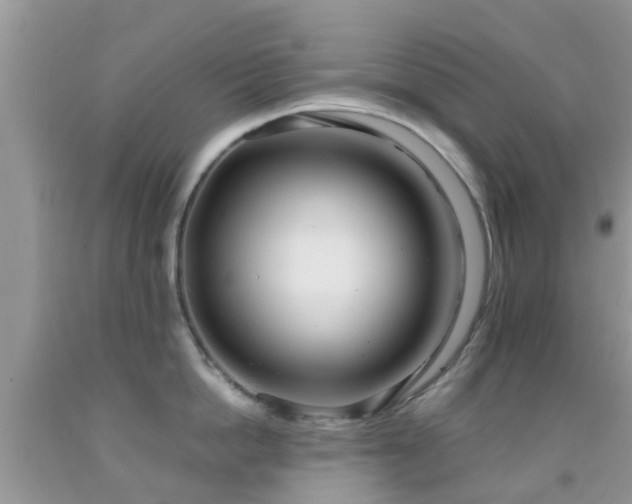 X0000091960862200709061300