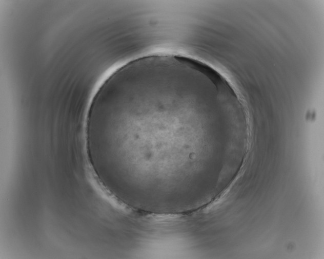 X0000091960864200709061300