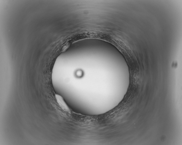 X0000091960865200709061300