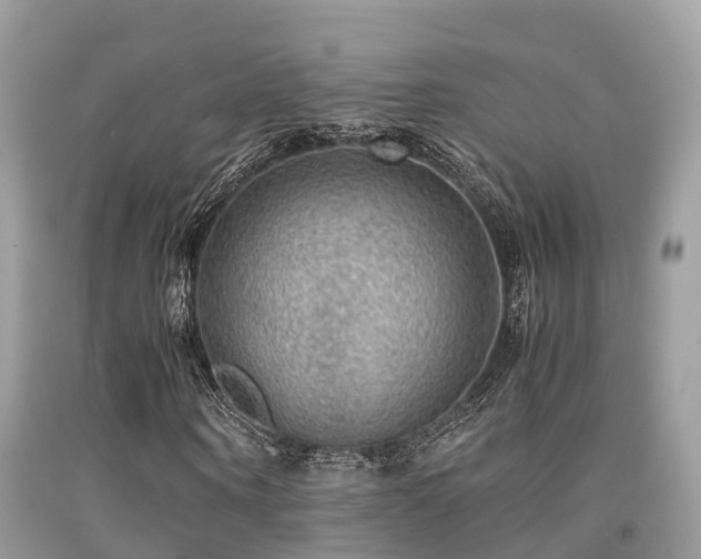 X0000091960866200709061300