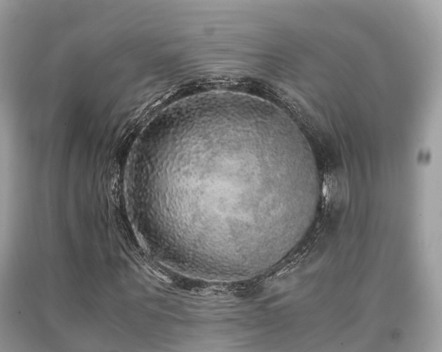 X0000091960867200709061300