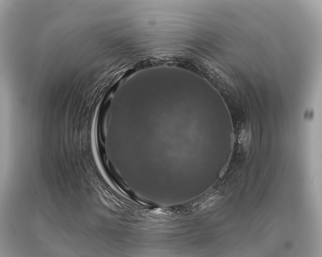 X0000091960868200709061259