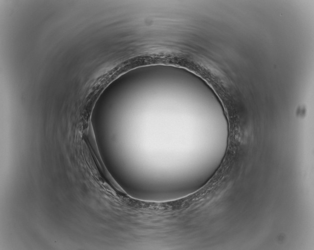 X0000091960869200709061259