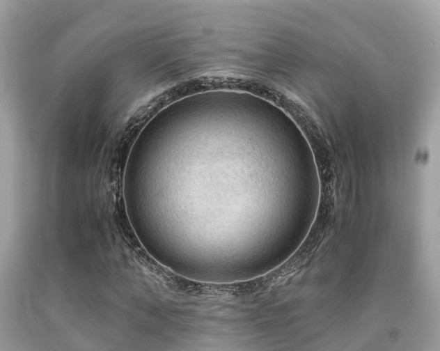 X0000091960870200709061259