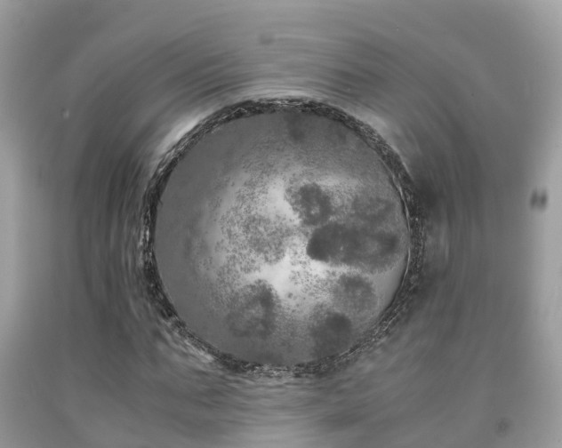 X0000091960871200709061259