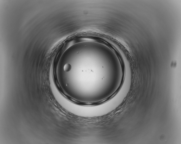 X0000091960872200709061259