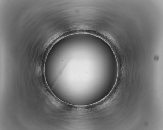 X0000091960873200709061259