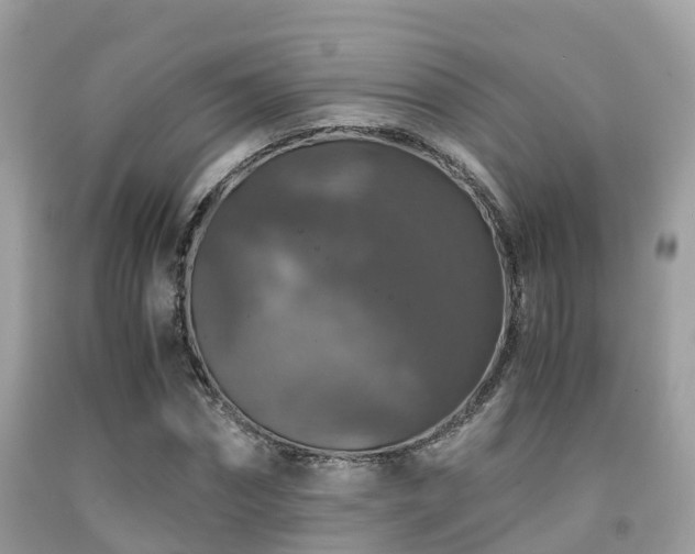 X0000091960874200709061259