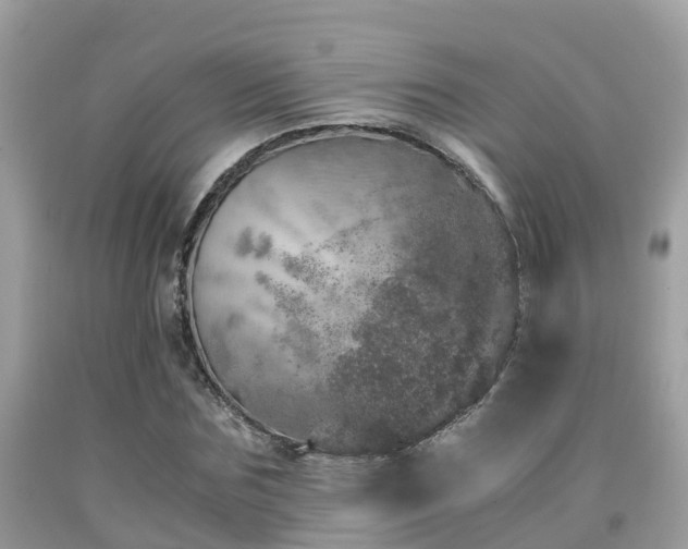 X0000091960875200709061259