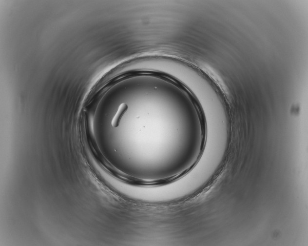 X0000091960876200709061259