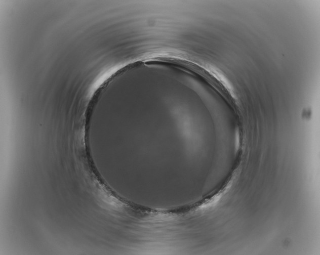 X0000091960877200709061259